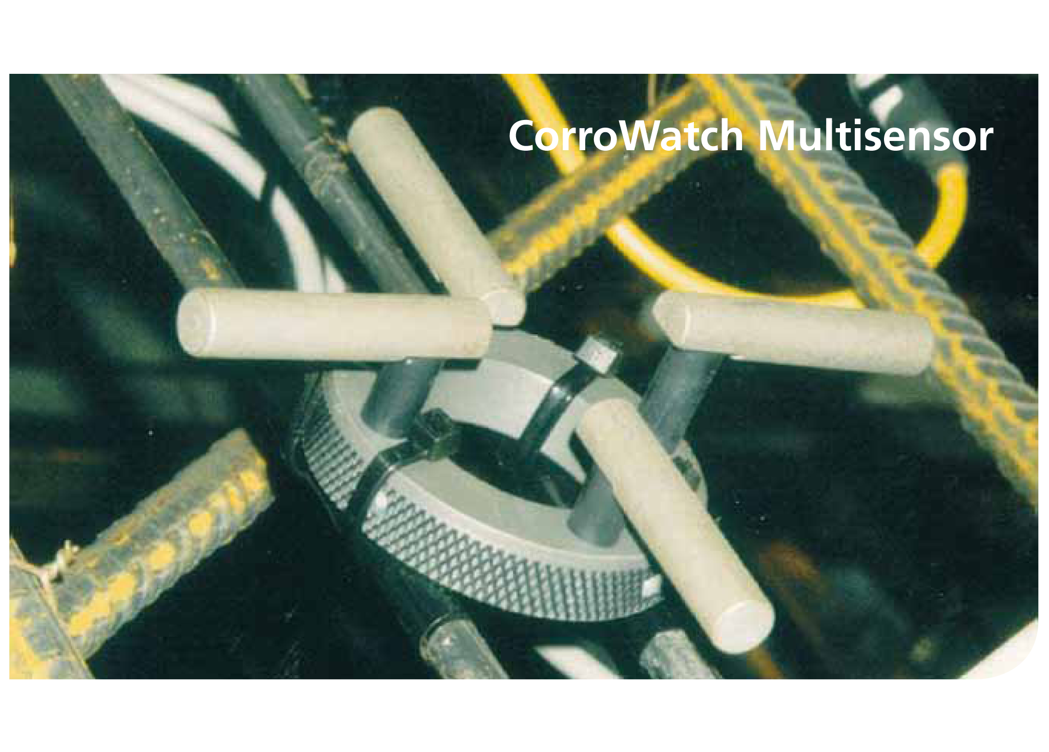 太阳成集团61999(中国)有限公司官网