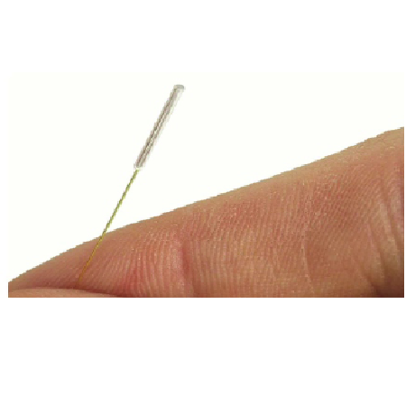 太阳成集团61999(中国)有限公司官网