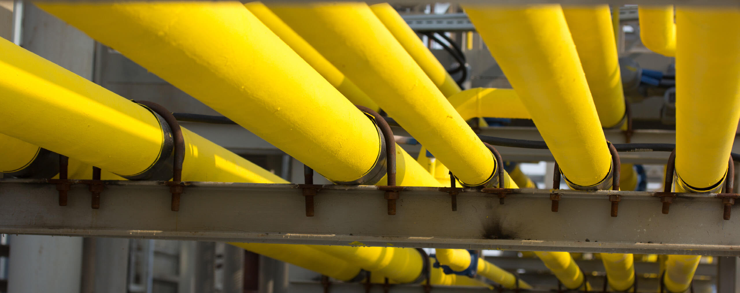 太阳成集团61999(中国)有限公司官网