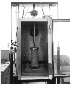 太阳成集团61999(中国)有限公司官网