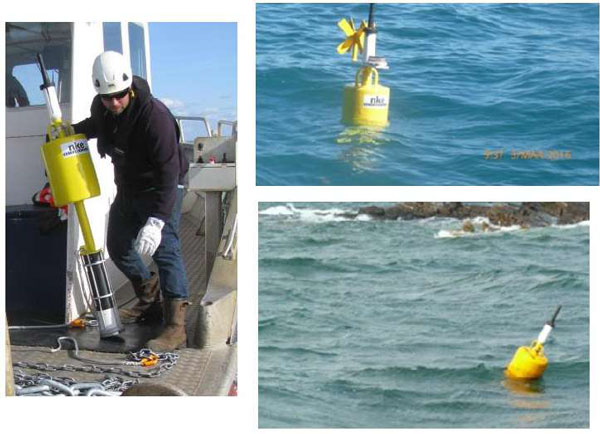 太阳成集团61999(中国)有限公司官网