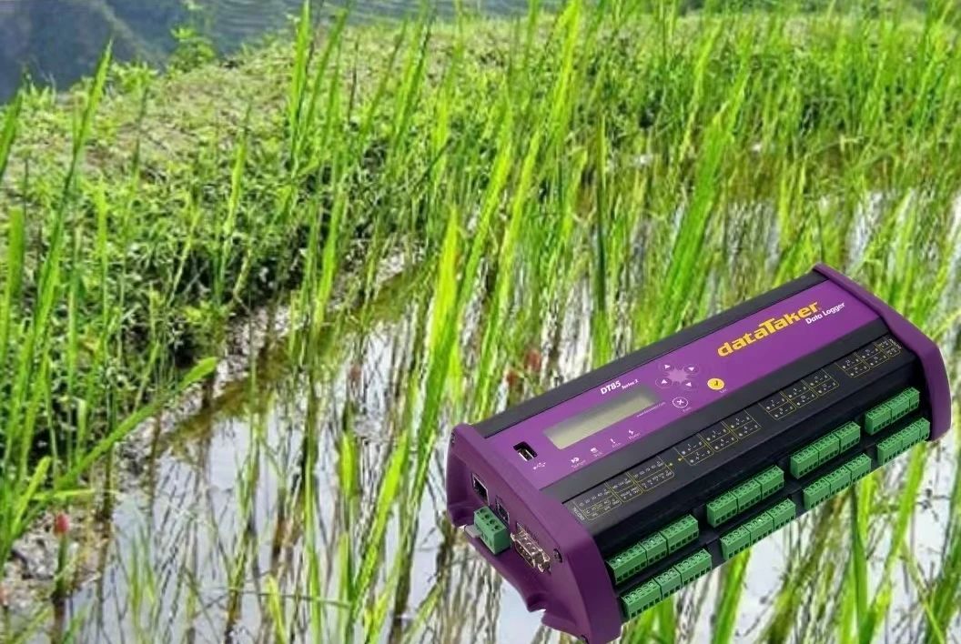 太阳成集团61999(中国)有限公司官网