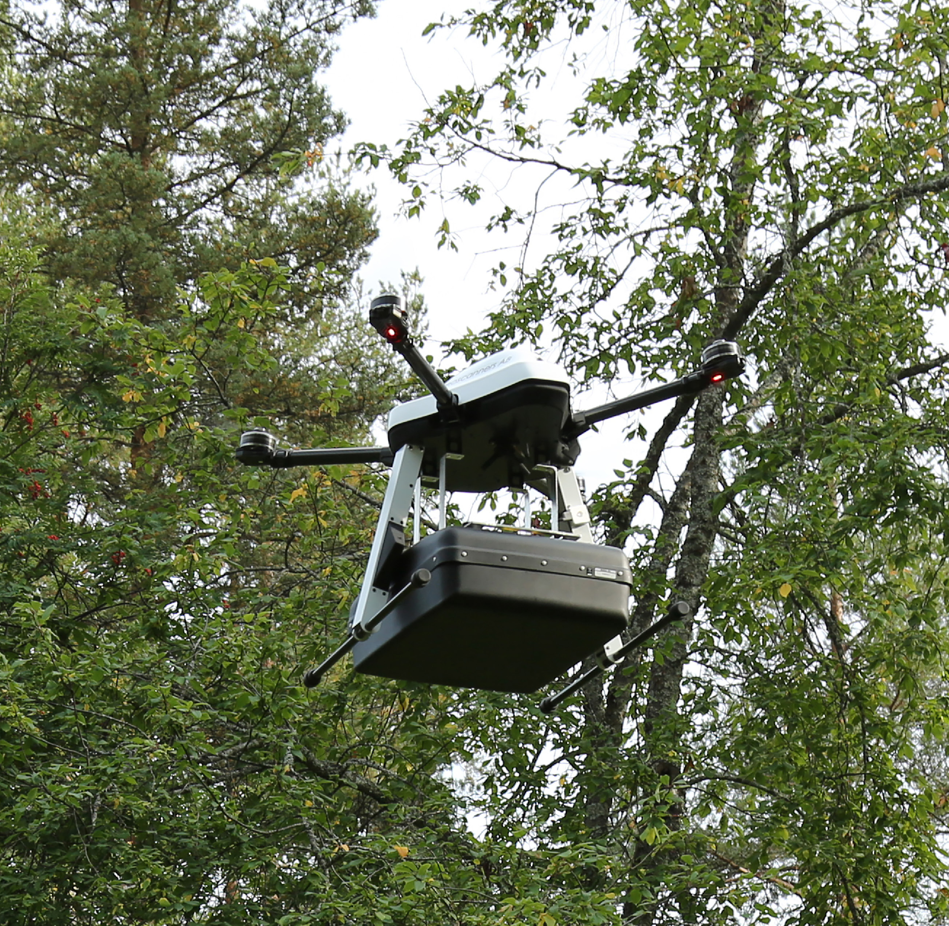 太阳成集团61999(中国)有限公司官网