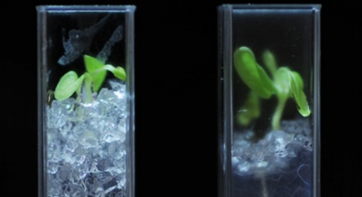 太阳成集团61999(中国)有限公司官网