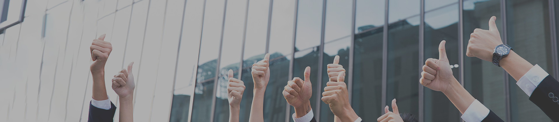 太阳成集团61999(中国)有限公司官网