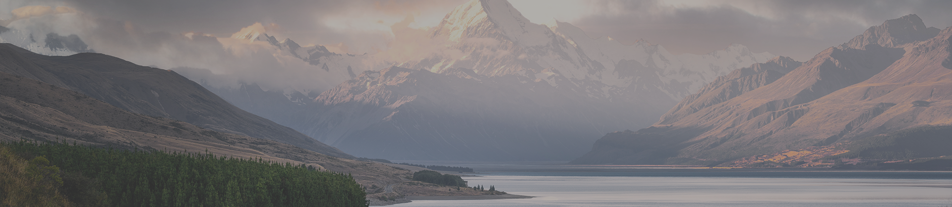 太阳成集团61999(中国)有限公司官网