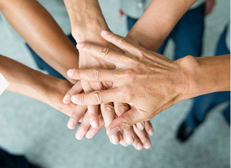 太阳成集团61999(中国)有限公司官网