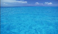 太阳成集团61999(中国)有限公司官网