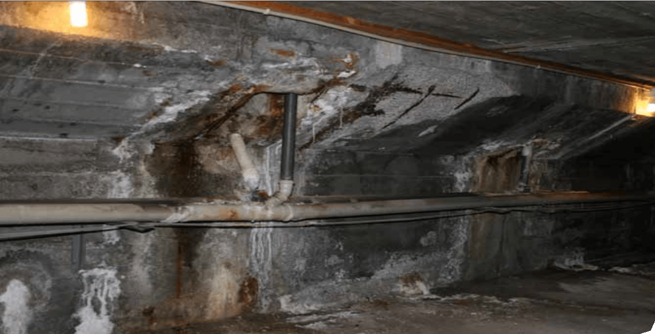 太阳成集团61999(中国)有限公司官网