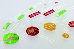 太阳成集团61999(中国)有限公司官网